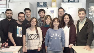 the research group of Dr. Chillón
